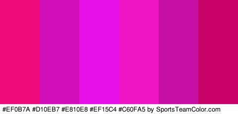 #EF0B7A #D10EB7 #E810E8 #EF15C4 #C60FA5 #C90269 Colors