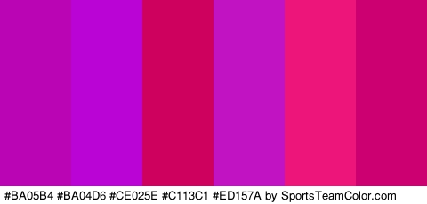 #BA05B4 #BA04D6 #CE025E #C113C1 #ED157A #CC0070 Colors