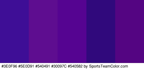 #3E0F96 #5E0D91 #540491 #30097C #540582 Colors