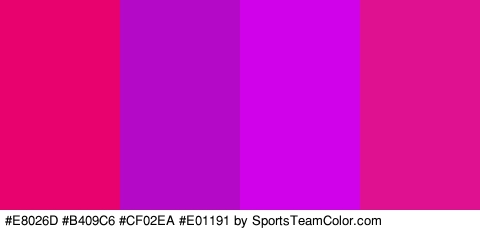 #E8026D #B409C6 #CF02EA #E01191 Colors