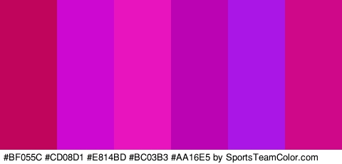 #BF055C #CD08D1 #E814BD #BC03B3 #AA16E5 #CE0889 Colors