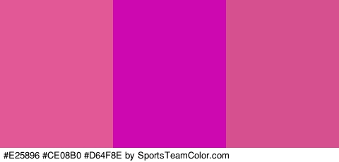 #E25896 #CE08B0 #D64F8E Colors