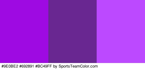 #9E0BE2 #692891 #BC49FF Colors