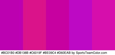 #BC01B0 #DB138B #C6019F #BE09C4 #D60EAB Colors