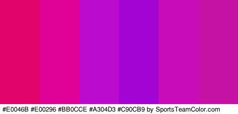 #E0046B #E00296 #BB0CCE #A304D3 #C90CB9 #C411A3 Colors