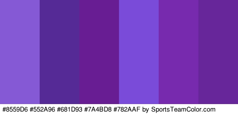 #8559D6 #552A96 #681D93 #7A4BD8 #782AAF #672699 Colors