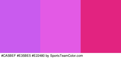 #CA5BEF #E35BE5 #E22480 Colors