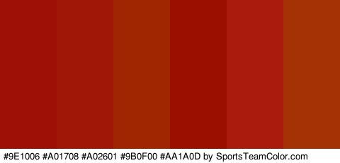 #9E1006 #A01708 #A02601 #9B0F00 #AA1A0D #A53204 Colors