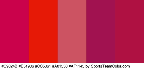 #C9024B #E51906 #CC5361 #A01350 #AF1143 Colors