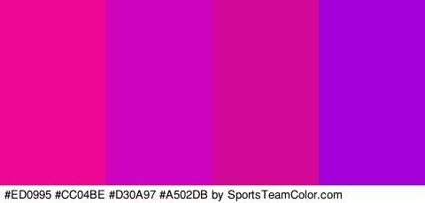 #ED0995 #CC04BE #D30A97 #A502DB Colors