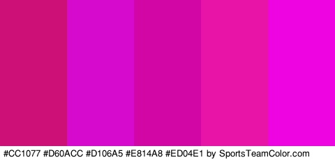 #CC1077 #D60ACC #D106A5 #E814A8 #ED04E1 Colors