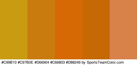 #C99B10 #C97B0E #D66904 #C66803 #D88249 Colors