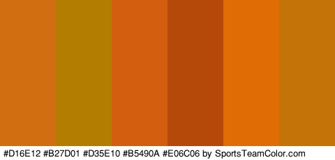 #D16E12 #B27D01 #D35E10 #B5490A #E06C06 #C47309 Colors