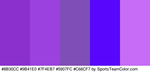 #8B30CC #9B41E0 #7F4EB7 #5907FC #C66CF7 Colors