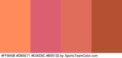 #FF8A5B #DB5E71 #E06D5C #B55132 Colors