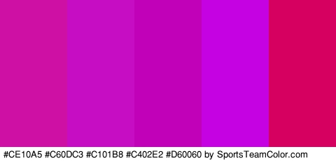 #CE10A5 #C60DC3 #C101B8 #C402E2 #D60060 Colors