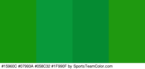 #15960C #07993A #058C32 #1F990F Colors