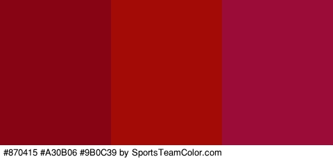 #870415 #A30B06 #9B0C39 Colors