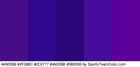 #490D89 #2F088C #2C0777 #460D9B #5B0099 Colors