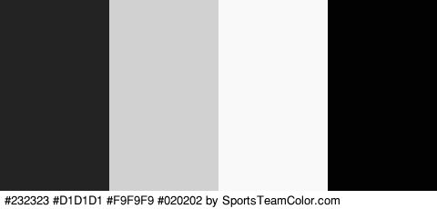 #232323 #D1D1D1 #F9F9F9 #020202 Colors