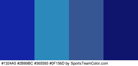 #1324A5 #2B89BC #365593 #0F156D Colors