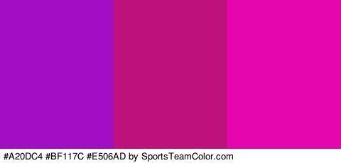 #A20DC4 #BF117C #E506AD Colors