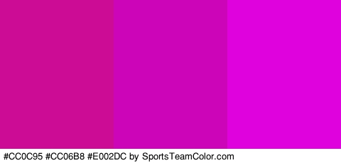 #CC0C95 #CC06B8 #E002DC Colors