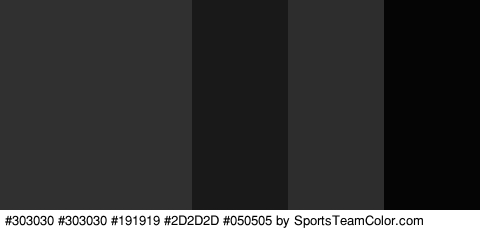 #303030 #303030 #191919 #2D2D2D #050505 Colors