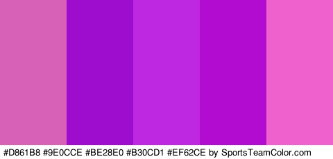 #D861B8 #9E0CCE #BE28E0 #B30CD1 #EF62CE Colors