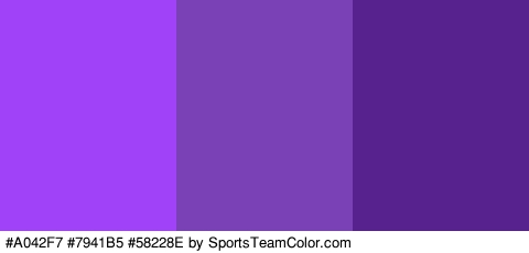 #A042F7 #7941B5 #58228E Colors