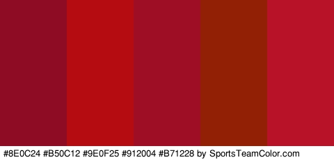 #8E0C24 #B50C12 #9E0F25 #912004 #B71228 Colors