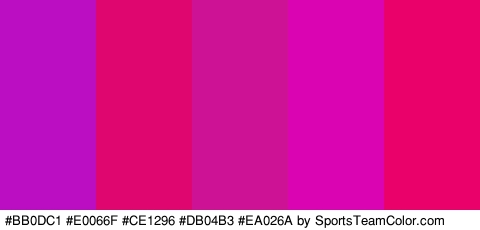 #BB0DC1 #E0066F #CE1296 #DB04B3 #EA026A Colors