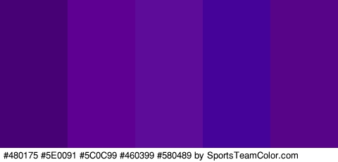 #480175 #5E0091 #5C0C99 #460399 #580489 Colors