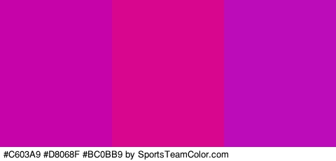 #C603A9 #D8068F #BC0BB9 Colors