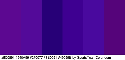 #5C0891 #540A99 #270077 #3E0091 #49099E #55047A Colors