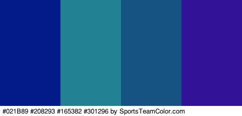 #021B89 #208293 #165382 #301296 Colors