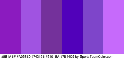 #8B1ABF #A053E0 #74319B #5101BA #7E44C9 #C66AFC Colors