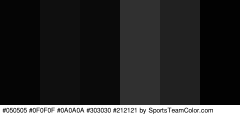 #050505 #0F0F0F #0A0A0A #303030 #212121 #020202 Colors