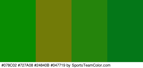 #078C02 #727A08 #24840B #047719 Colors