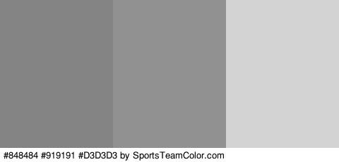 #848484 #919191 #D3D3D3 Colors