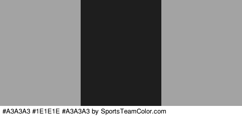 #A3A3A3 #1E1E1E #A3A3A3 Colors