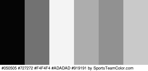 #050505 #727272 #F4F4F4 #ADADAD #919191 #C9C9C9 Colors