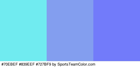 #70EBEF #839EEF #727BF9 Colors