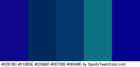 #0D078C #012B5E #03386D #0D7282 #06048E Colors