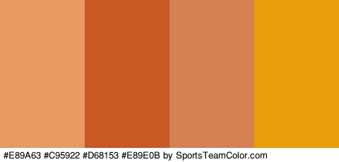 #E89A63 #C95922 #D68153 #E89E0B Colors