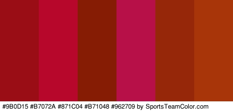 #9B0D15 #B7072A #871C04 #B71048 #962709 #A8340A Colors