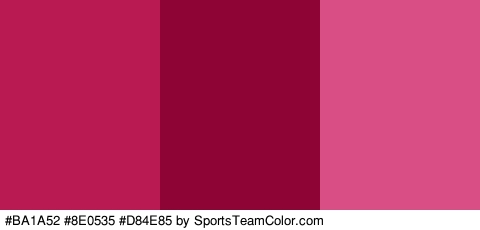 #BA1A52 #8E0535 #D84E85 Colors