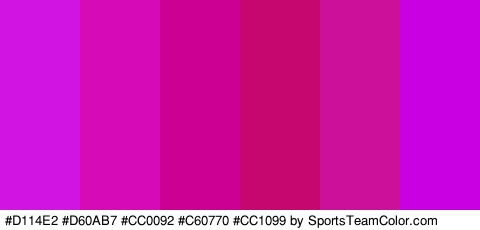 #D114E2 #D60AB7 #CC0092 #C60770 #CC1099 #C800E2 Colors