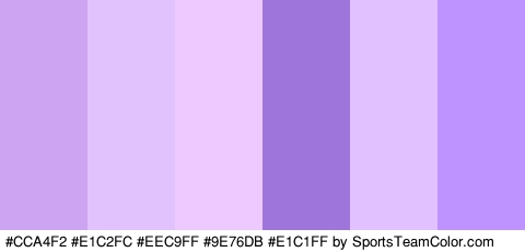 #CCA4F2 #E1C2FC #EEC9FF #9E76DB #E1C1FF #BE93FF Colors