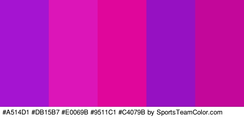 #A514D1 #DB15B7 #E0069B #9511C1 #C4079B Colors